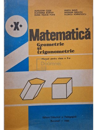 Matematica - Geometrie si trigonometrie - Manual pentru clasa a X-a