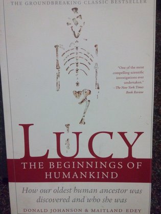 Lucy the beginnings of humankind