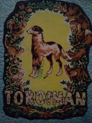 Toroiman
