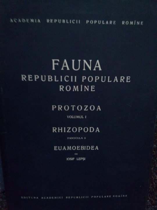 Fauna republicii populare Romane. Protoza vol. I, rhizopoda fascicula 2, euamoebidea