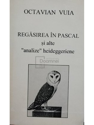 Regasirea in Pascal si alte analize heideggeriene