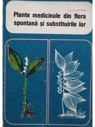 Plante medicinale din flora spontana si substilurile lor