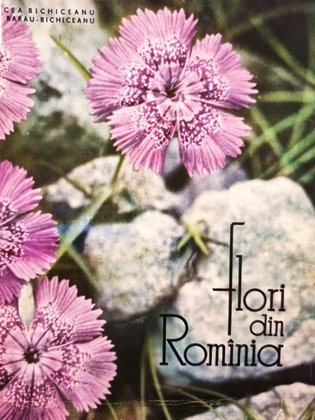 Flori din Romania