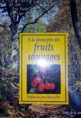 A LA DECOUVERTE DES FRUITS SAUVAGES