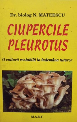 Ciupercile pleurotus