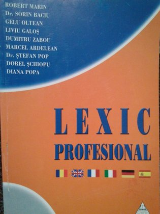 Lexic profesional