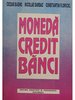 Moneda, credit, banci