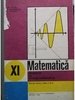Elemente de analiza matematica - Manual epntru clasa a XI-a