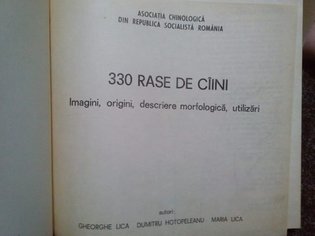 330 rase de caini. Imagini, origini, descriere morfologica, utilizari