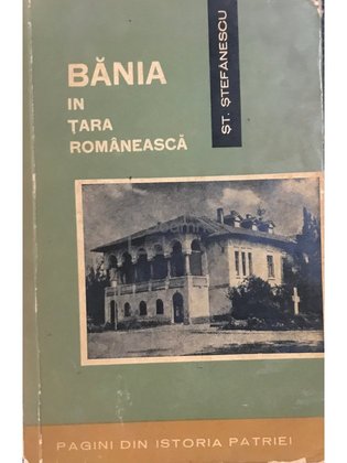 Bănia în Țara Românească