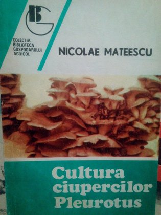 Cultura ciupercilor Pleurotus