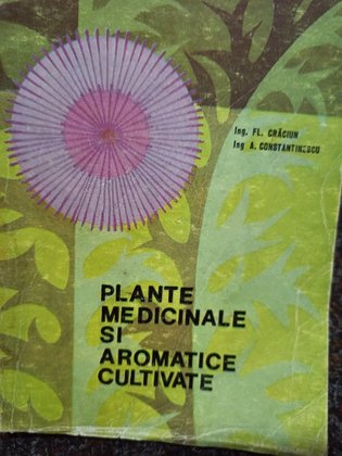 Plante medicinale si aromatice cultivate