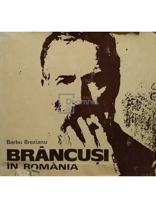 Brancusi in Romania
