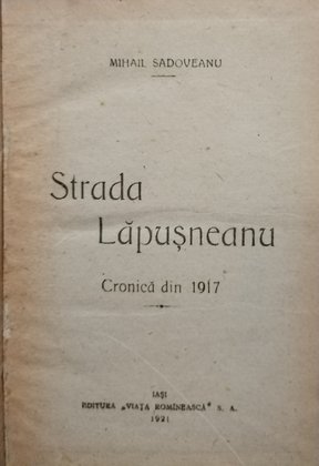 Strada Lapusneanu. Cronica din 1917