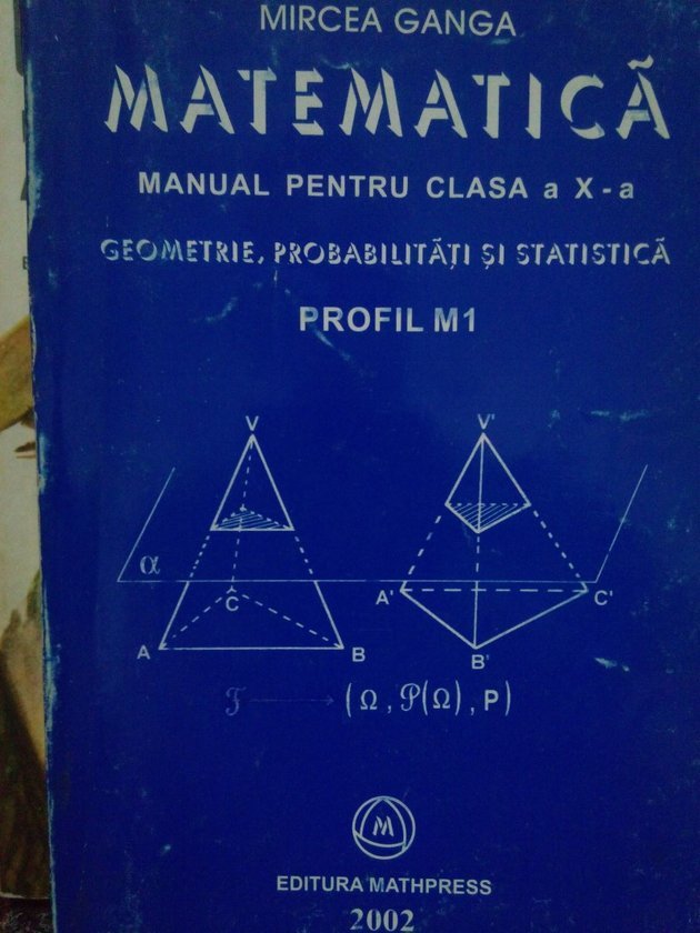 Matematica. Manual pentru clasa a Xa profil M1