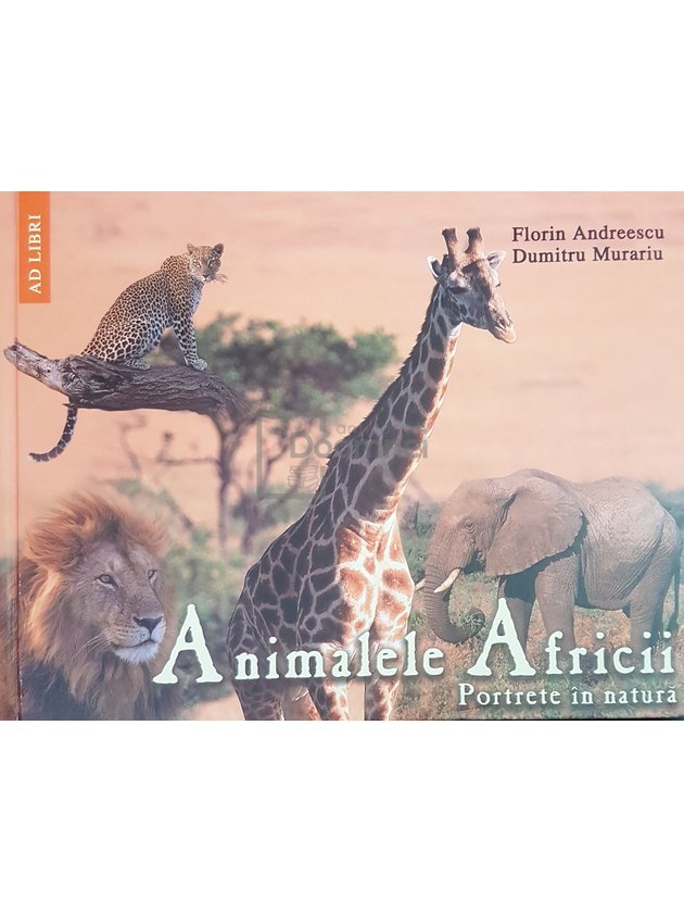 Animalele Africii. Portrete in natura