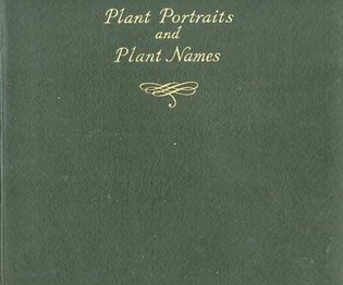 PLANT PORTRAITS AND PLANT NAMES