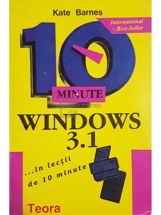 10 minute - Windows 3.1