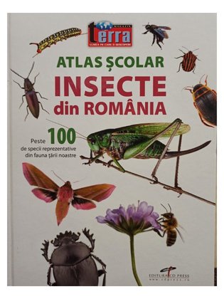 Insecte din Romania