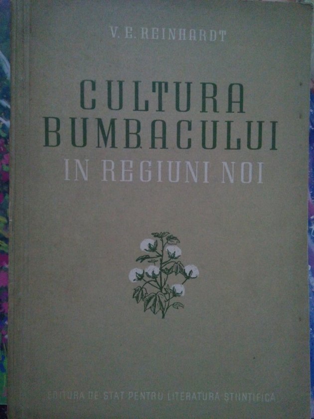 Cultura bumbacului in regiuni noi